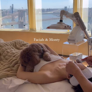 Person receiving a facial with a dog sitting on their lap, in front of a large window with a cityscape view.